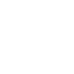 Bullpadel logo wit